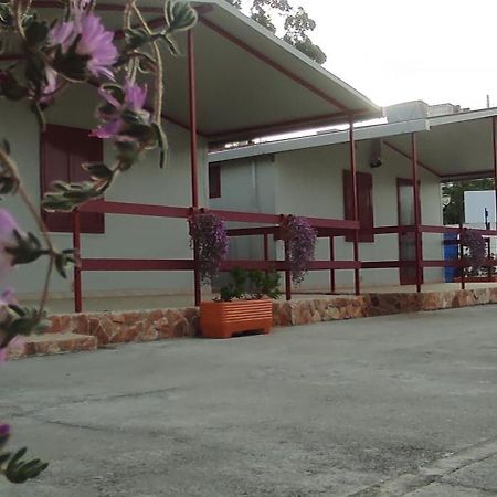 Villaggio Albergo Cervo Zapponeta Exterior foto
